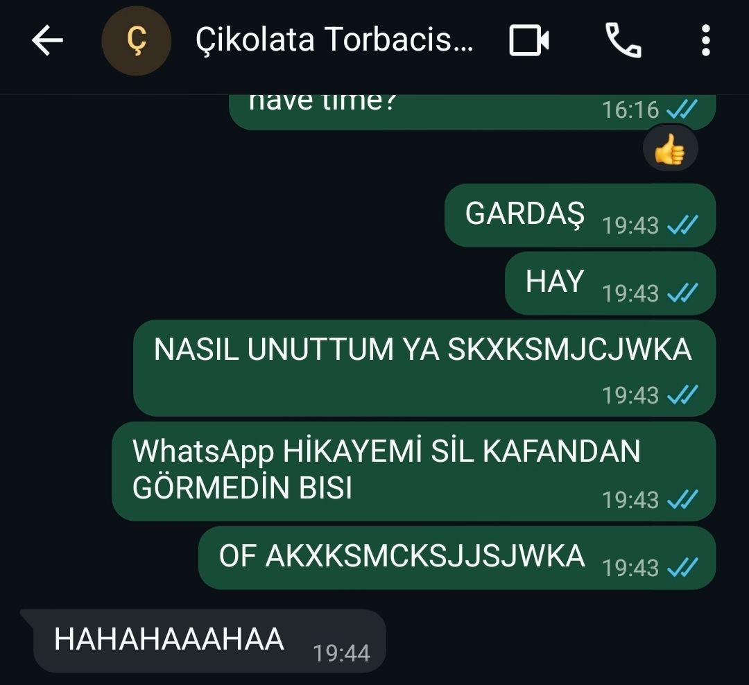 Screenshot_20260504_194535_WhatsApp.jpg